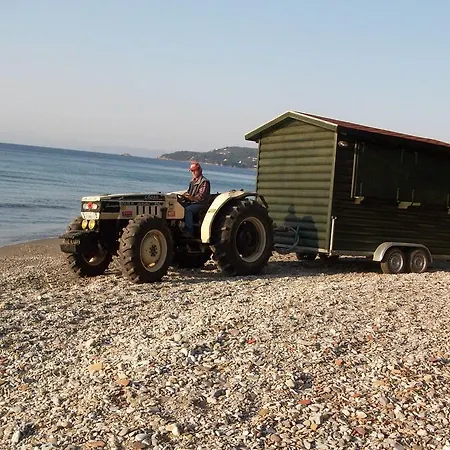 Azalea 3* Megali Ammos (Skiathos)