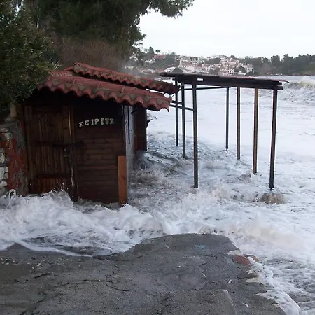 Hotel de apartamente Azalea