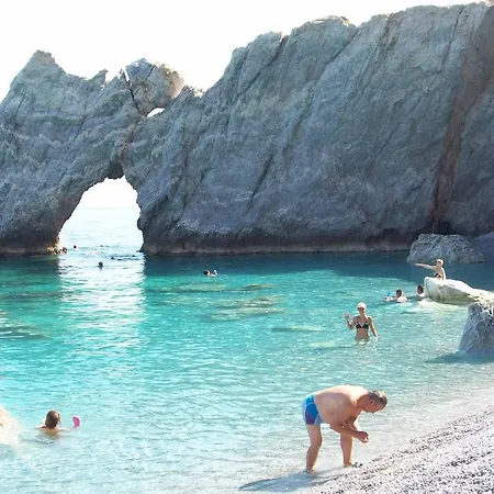 Azalea מגלי אמוס