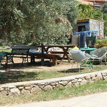Azalea Μεγάλη Άμμος