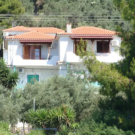 Azalea Μεγάλη Άμμος