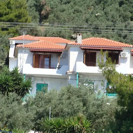 Azalea Μεγάλη Άμμος