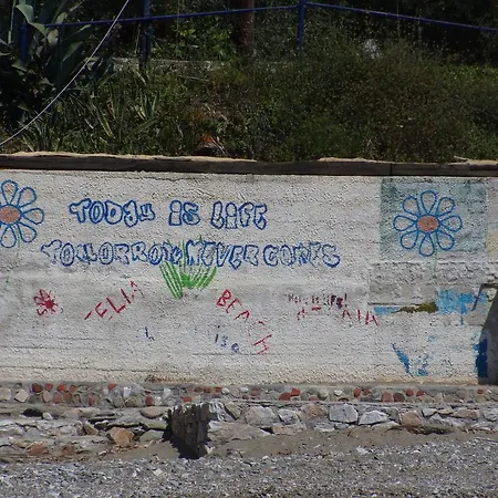 Azalea Μεγάλη Άμμος