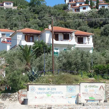 Azalea Μεγάλη Άμμος