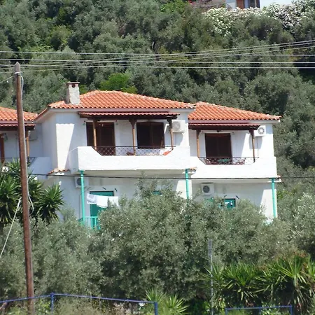 Azalea Μεγάλη Άμμος