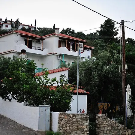 Azalea Μεγάλη Άμμος