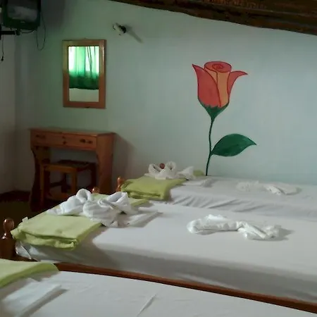 Azalea מגלי אמוס