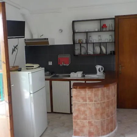 Azalea 3* מגלי אמוס