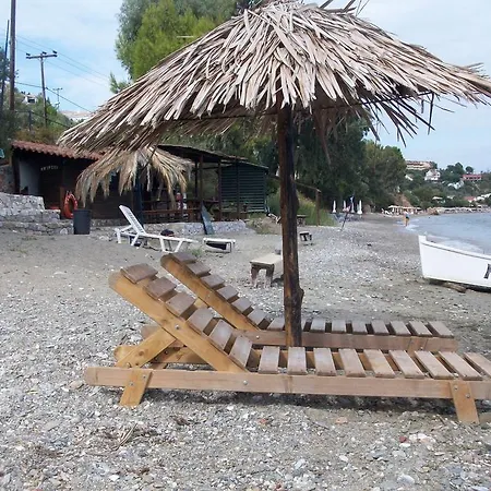 Hotel de apartamente Azalea 3*