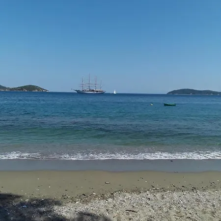 Hotel de apartamente Azalea